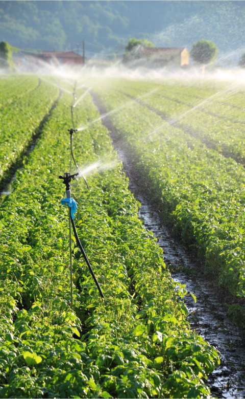 Água para irrigação